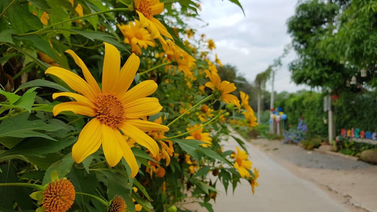 Ban P'Tor Resort Sikhio Exterior photo